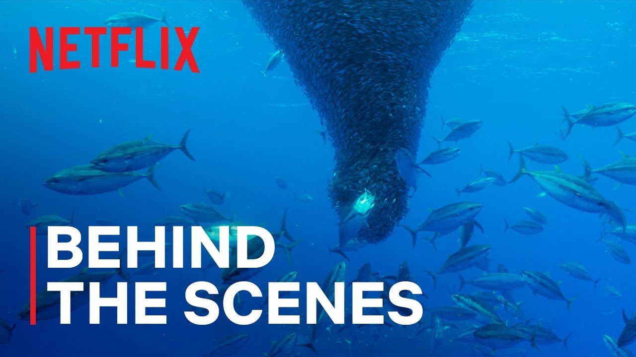 Our Oceans | Fishnado! | Netflix