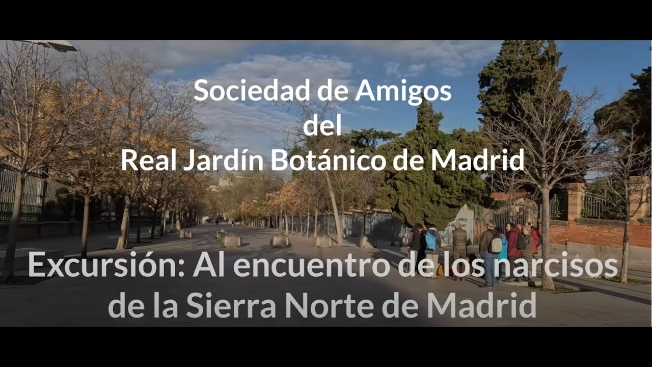 Excursión: Al encuentro de los narcisos en la Sierra Norte de Madrid guiada por Javier Gómez Aoiz.