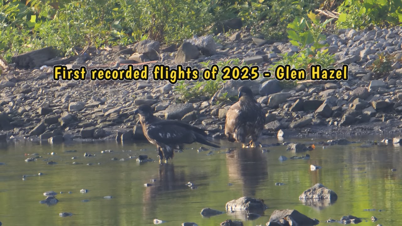 First recorded flights of 2025 | Glen Hazel