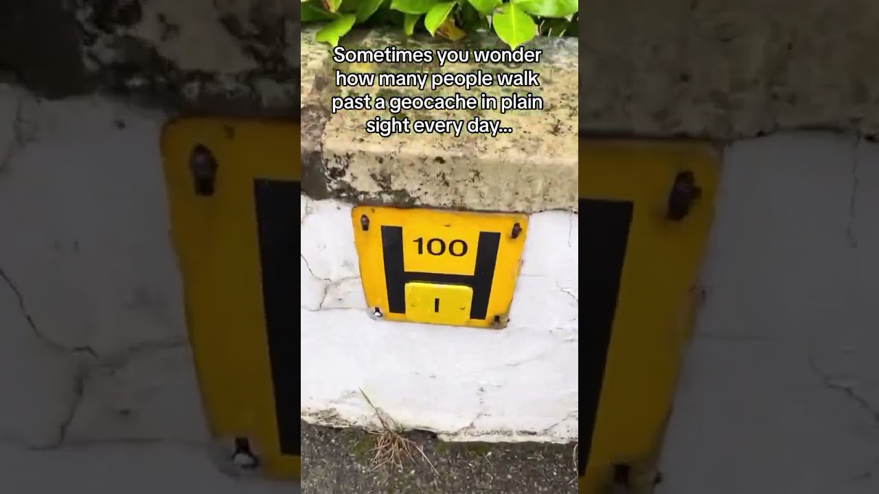 🥸 Hiding in plain sight 🥸 #geocache #geocaching