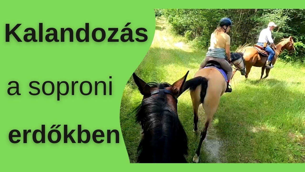Tereplovaglás | Kalandozás a soproni erdőkben | GoPro
