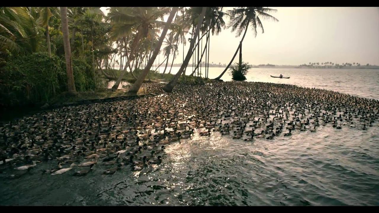 KERALA TOURISM Great Backwaters
