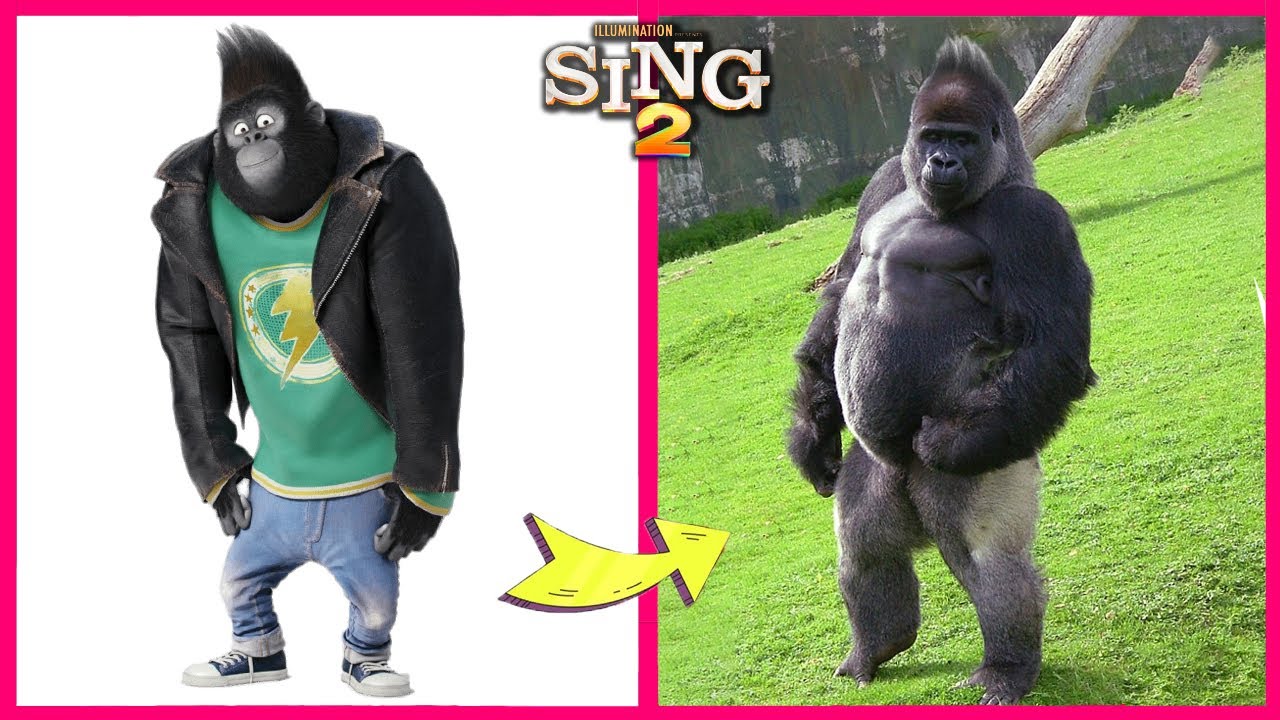 Персонажи фильма «Sing 2» и их самые преданные поклонники! | Персонажи фильма «Sing 2» в реальной...