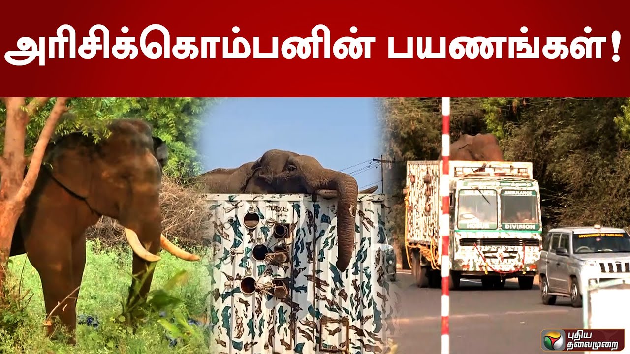 அரிசிக்கொம்பனின் பயணங்கள்! | PTD | Arisi Komban Elephant