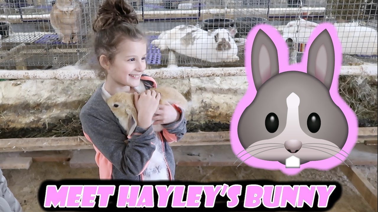 Meet Hayley's Bunny 🐰 (WK 324.4) | Bratayley