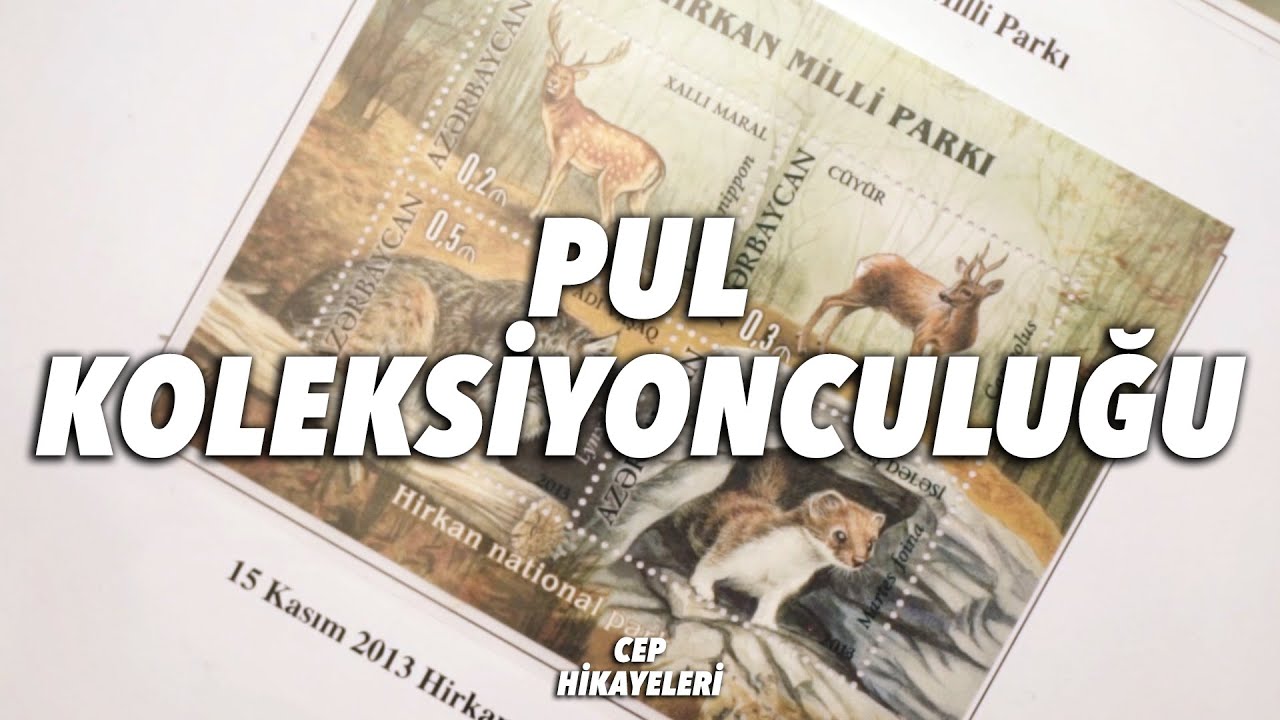 Pul / Cep Hikayeleri No:23