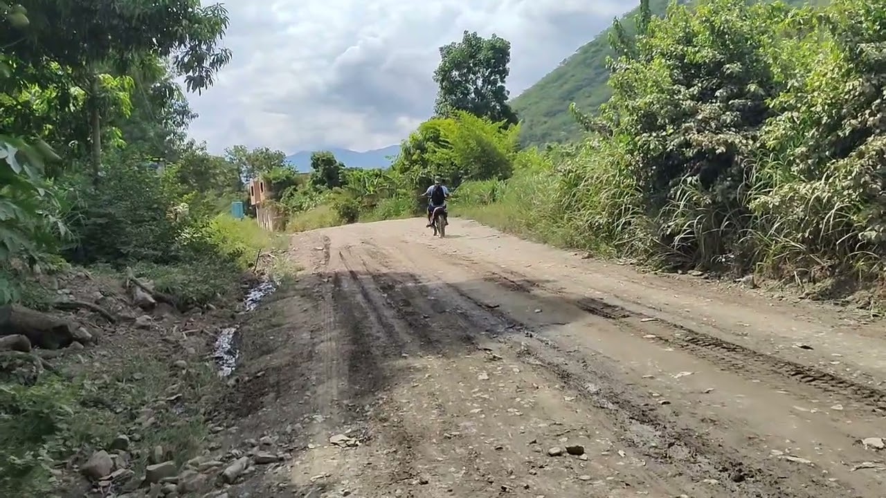 A trip to the Yungas