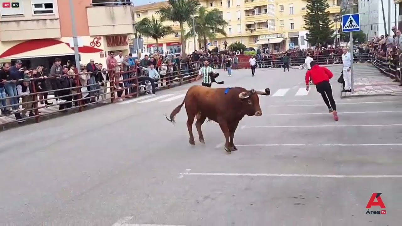 🐂 Toro Embolao del Domingo de Resurrección en Los Barrios