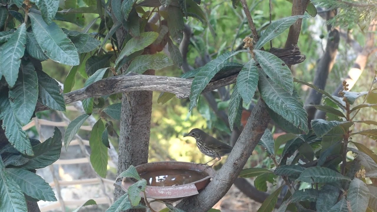 Relax in giardino
