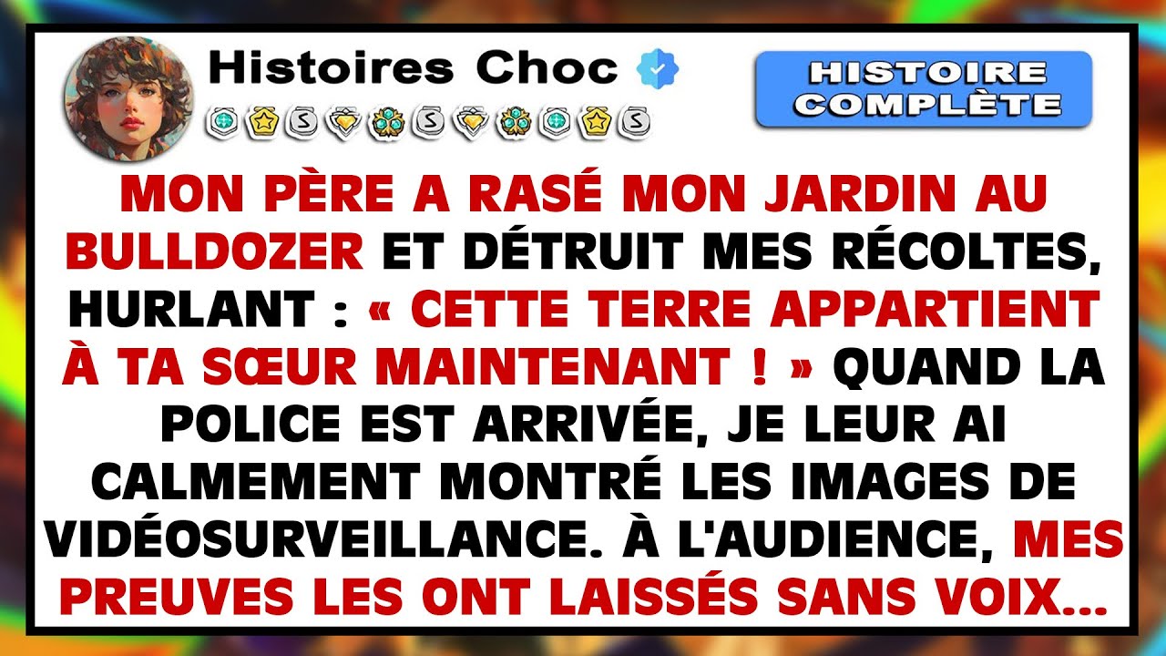 Pendant Le Brunch Du Dimanche, Mes Parents M'ont Ordonné De Céder Mon Terrain À Ma Sœur. J'ai Refusé