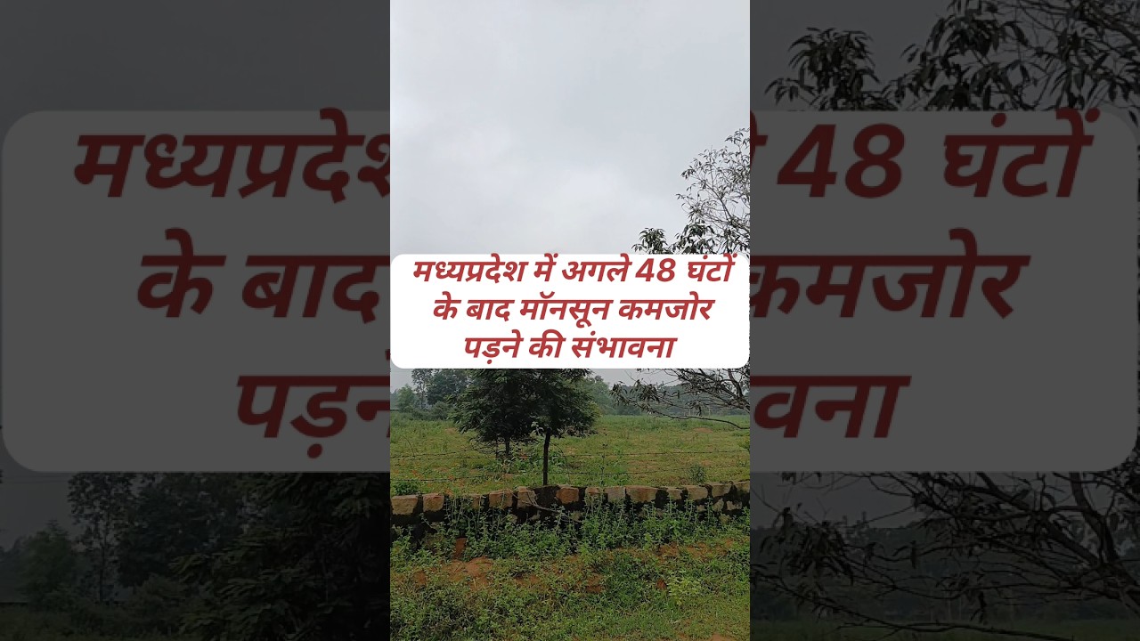 Mp Monsoon update today 6,7,8 september #monsoon #shorts
