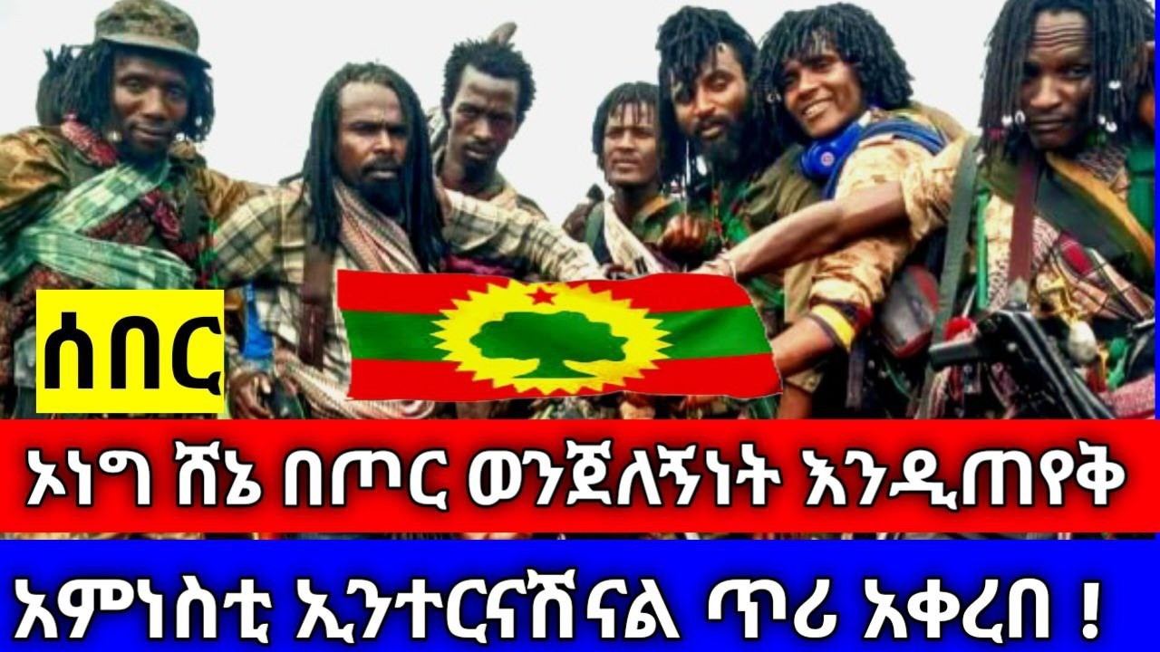 ሰበር|| ኦነግ ሸኔ በጦር ወንጀለኝነት እንዲጠየቅ፥ አምነስቲ ኢንተርናሽናል ጥሪ አቀረበ !
