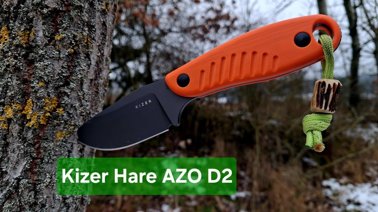 Kizer Hare AZO D2