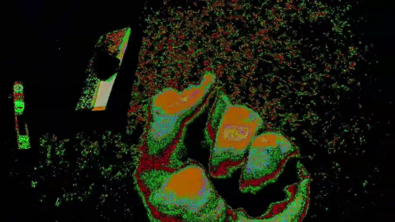 How to circuit bend a camera (Basic)