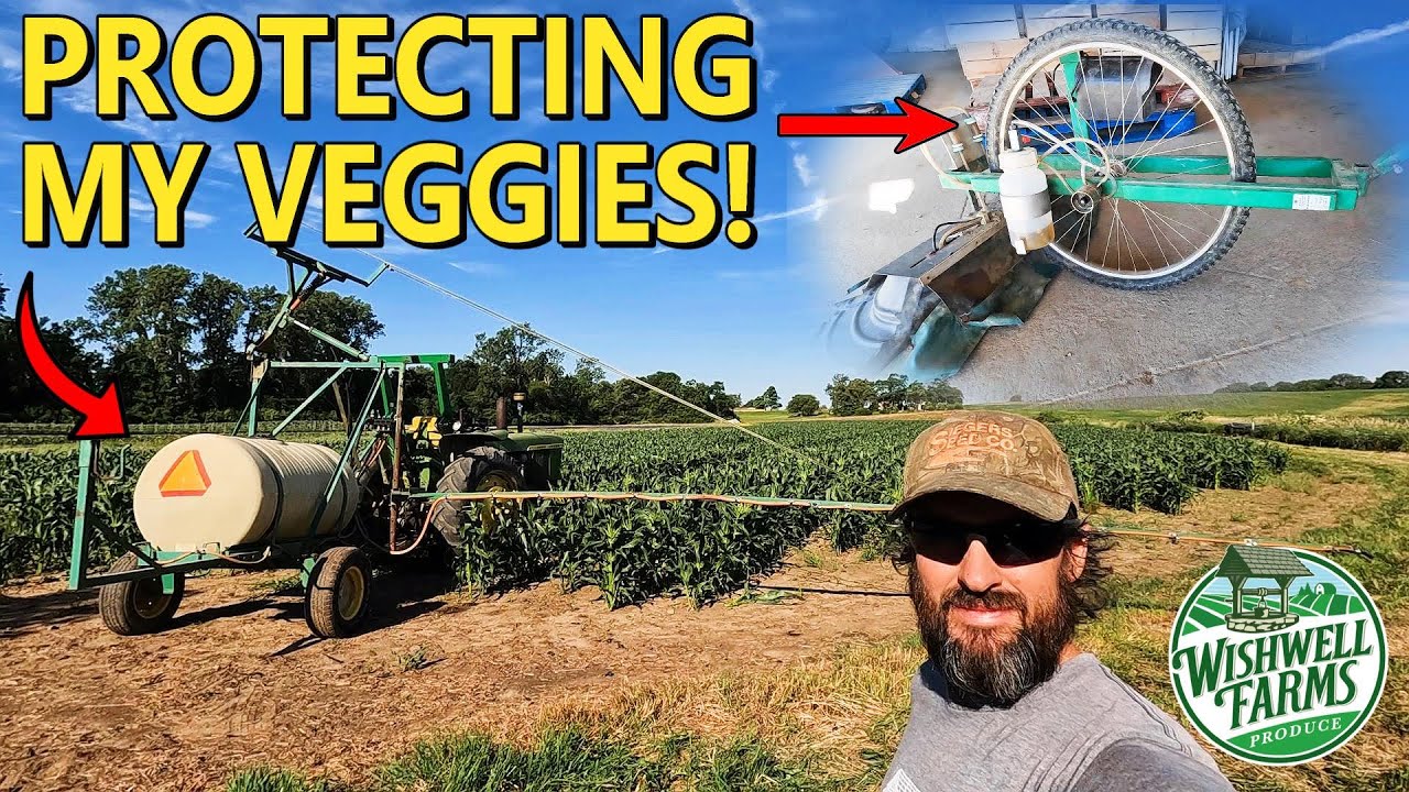 BOOSTING MY VEGETABLE FARM PRODUCTIVITY WITH THESE INNOVATIVE TOOLS