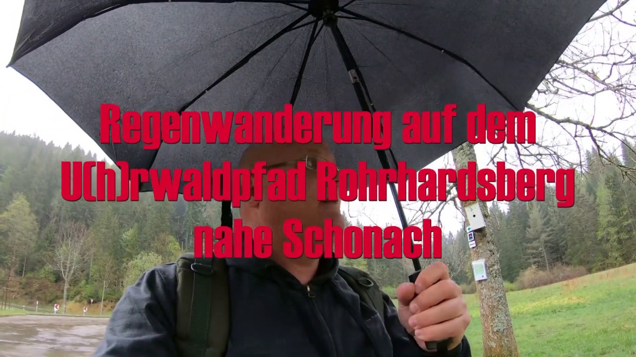 Wandertour auf dem Genießerpfad U(h)rwaldpfad Rohrhardsberg im strömenden Regen