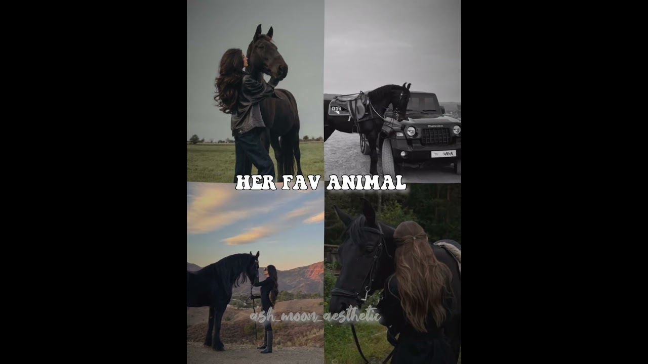 finally trend done!!!!all bout meh:)