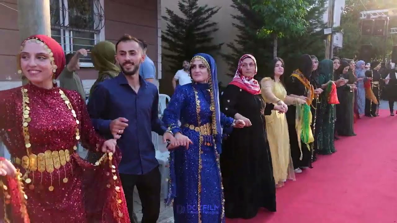 Hivda & Sidar Bertav - Kına Gecesi - İstanbul Muşluların Düğünü 2024