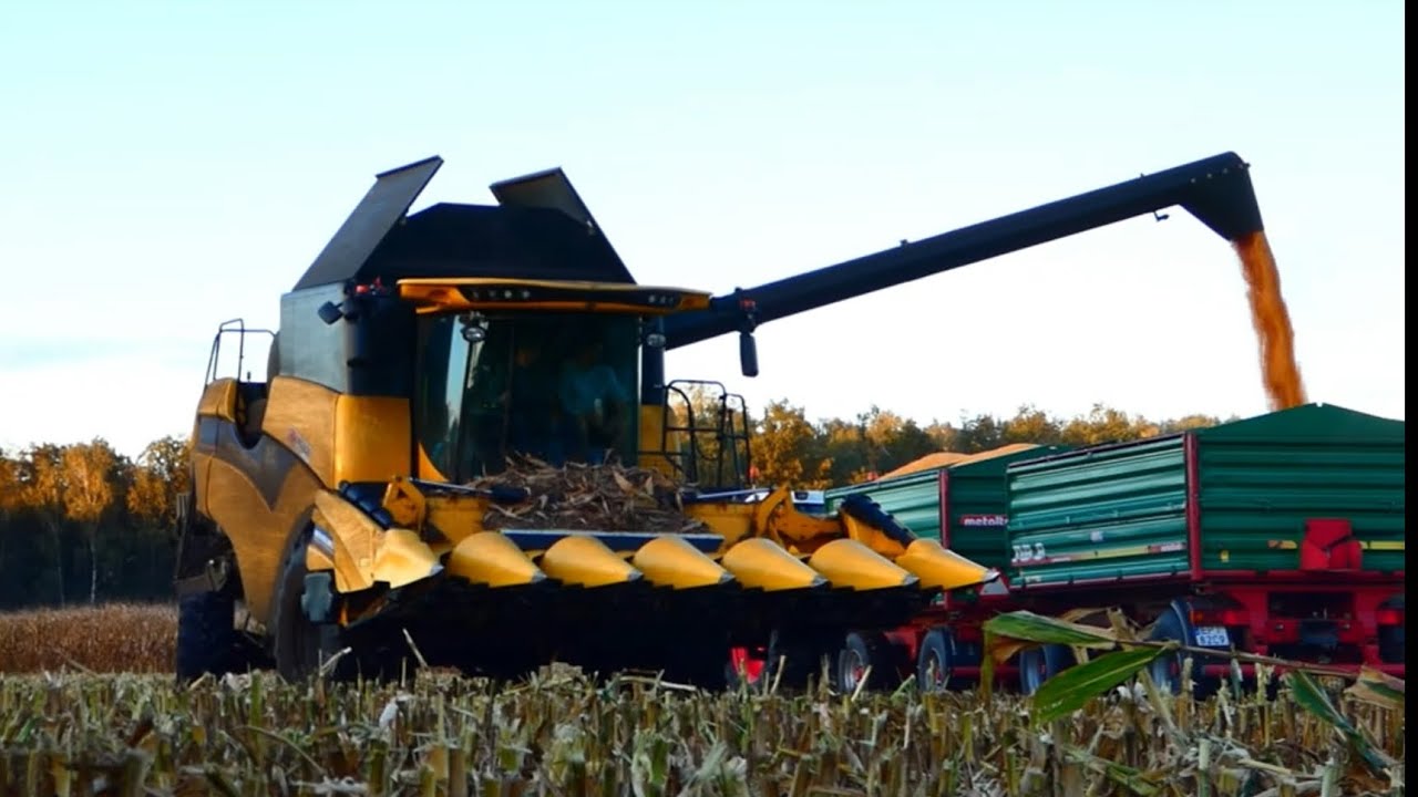 ✩ Kukurydza na ziarno 2024?! ✩3 zestawy w akcji ✩ New Holland CX6.80 ✩ 2x Fendt & New Holland ✩