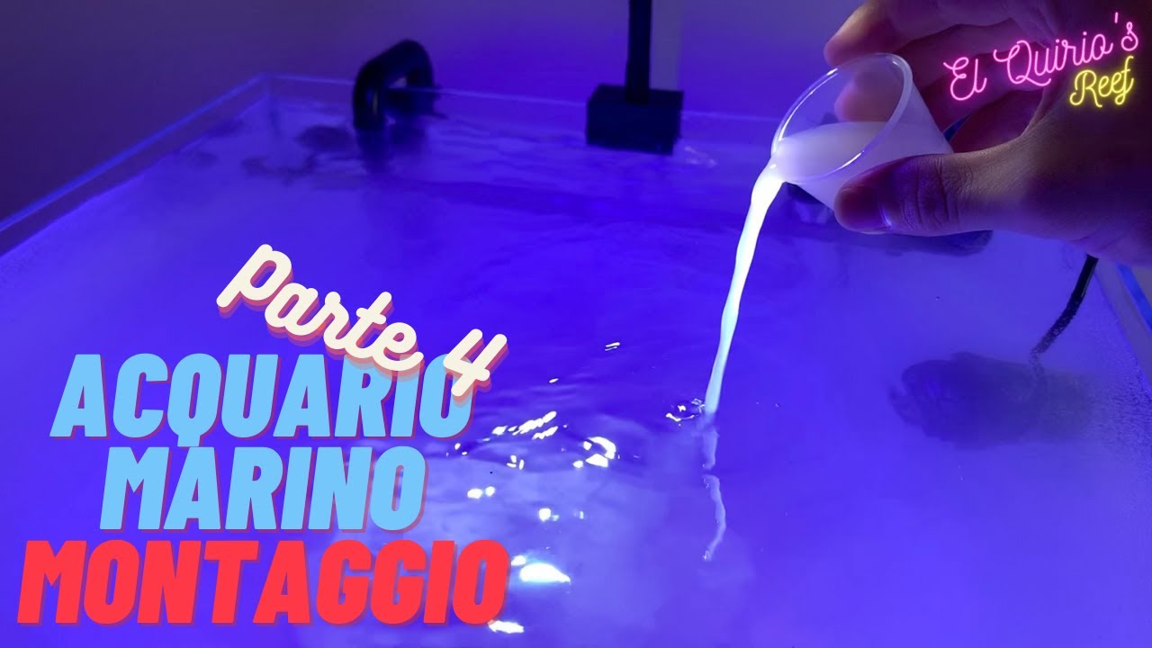 #4 Come allestire un acquario marino - Parte 4 - Sale, lampada e batteri