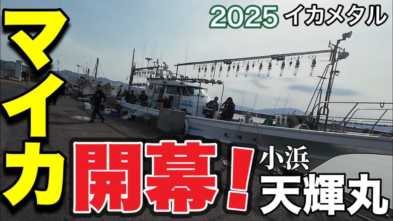 [イカメタル]さぁ、マイカ開幕！ケンサキイカ、ヤリイカ、スルメイカが狙えるぞ！