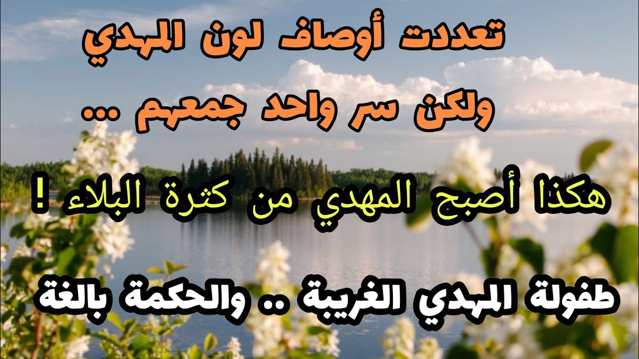 تعددت أوصاف لون المهدي ولكن سر واحد جمعهم ! هكذاأصبح المهدي من كثرة البلاء ..
