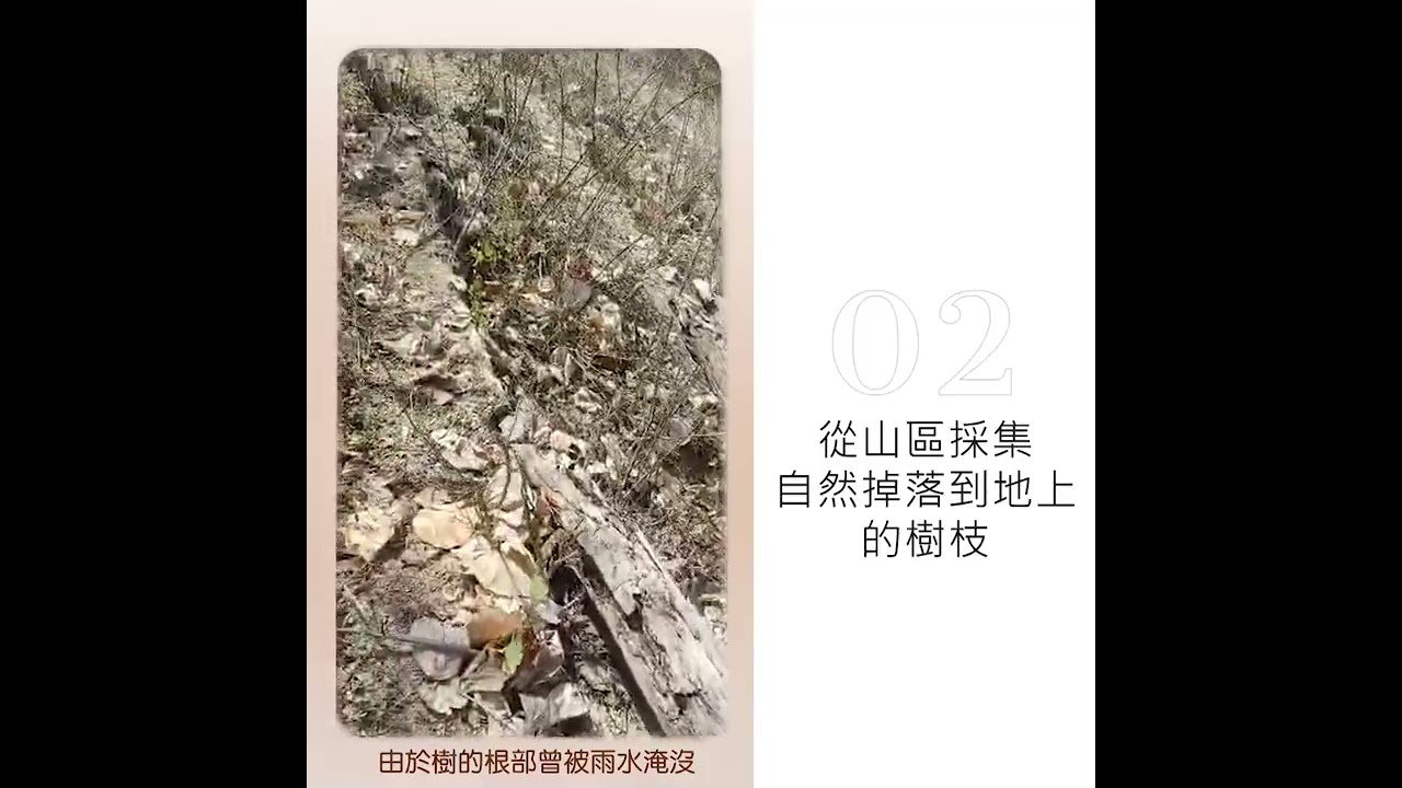AURADD - 秘魯聖木木製品獲得過程 Where did the products of palo santo come from