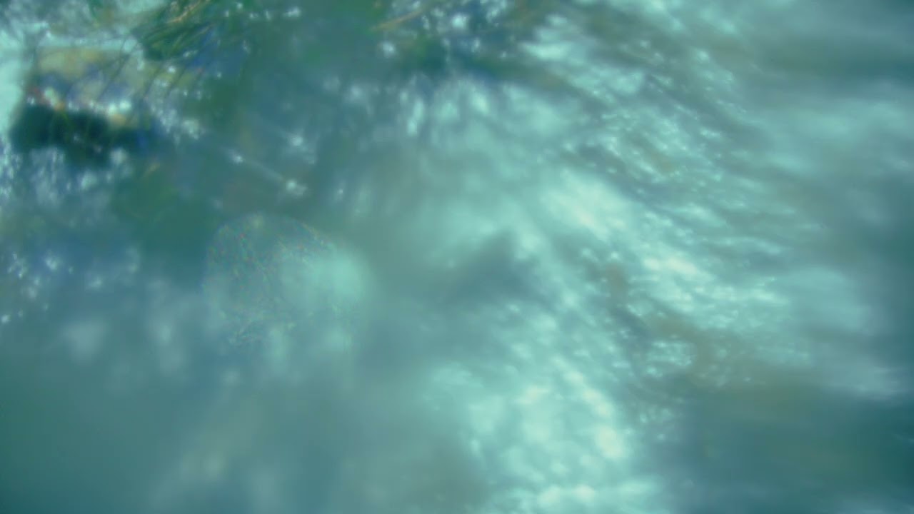 John Butler - Wandering Creek (Official Visualiser)