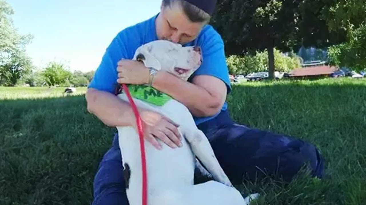 100 Heartwarming Acts Of Kindness Towards Animals That Will Melt Your Heart ❤️
