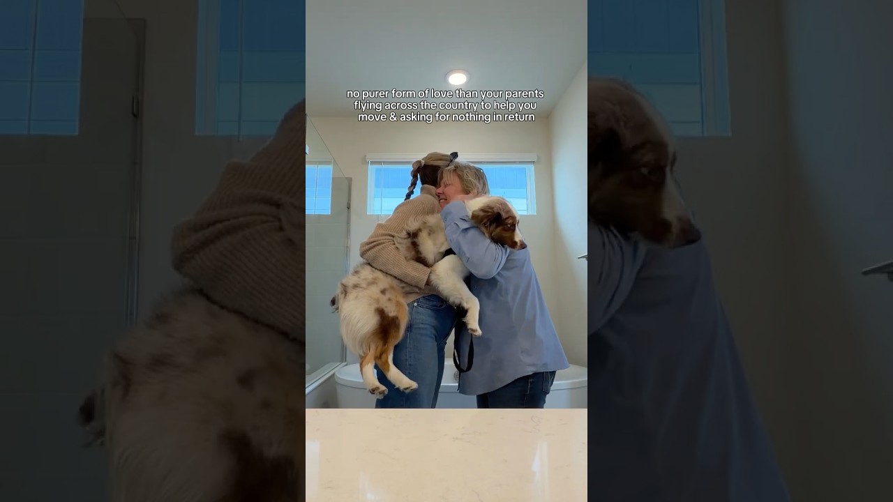 Ты всегда найдешь дорогу домой 🥹🥹🥹