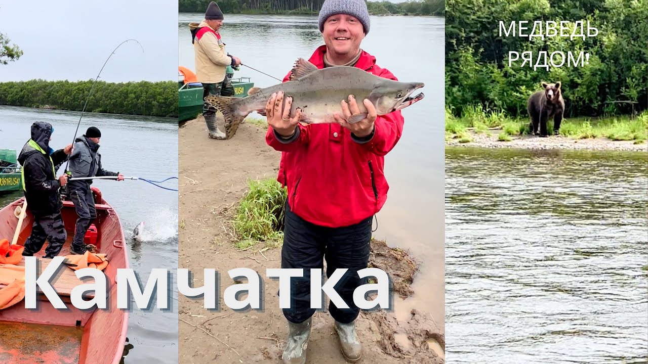 Камчатка. Нерест. Рыбалка. Медведи рядом. Адреналин