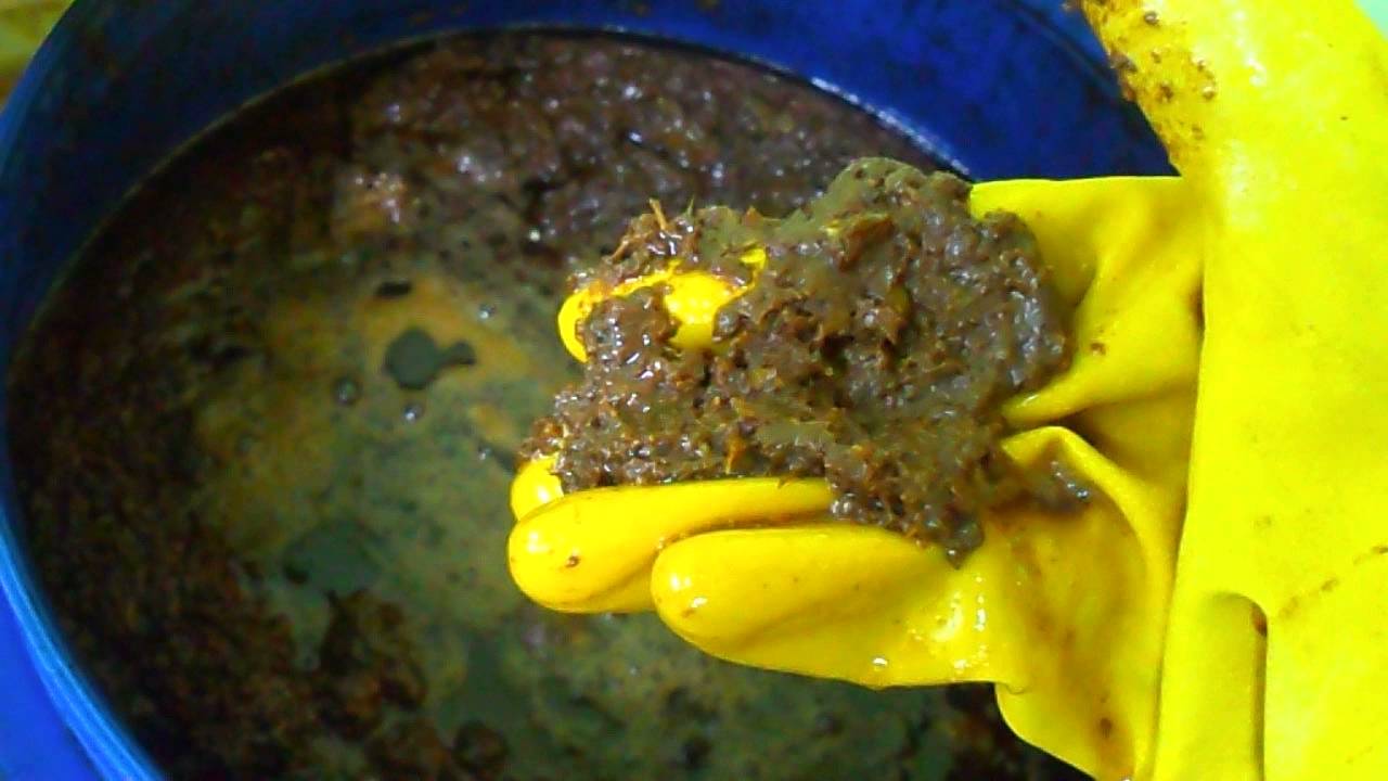Fish hydrolysate