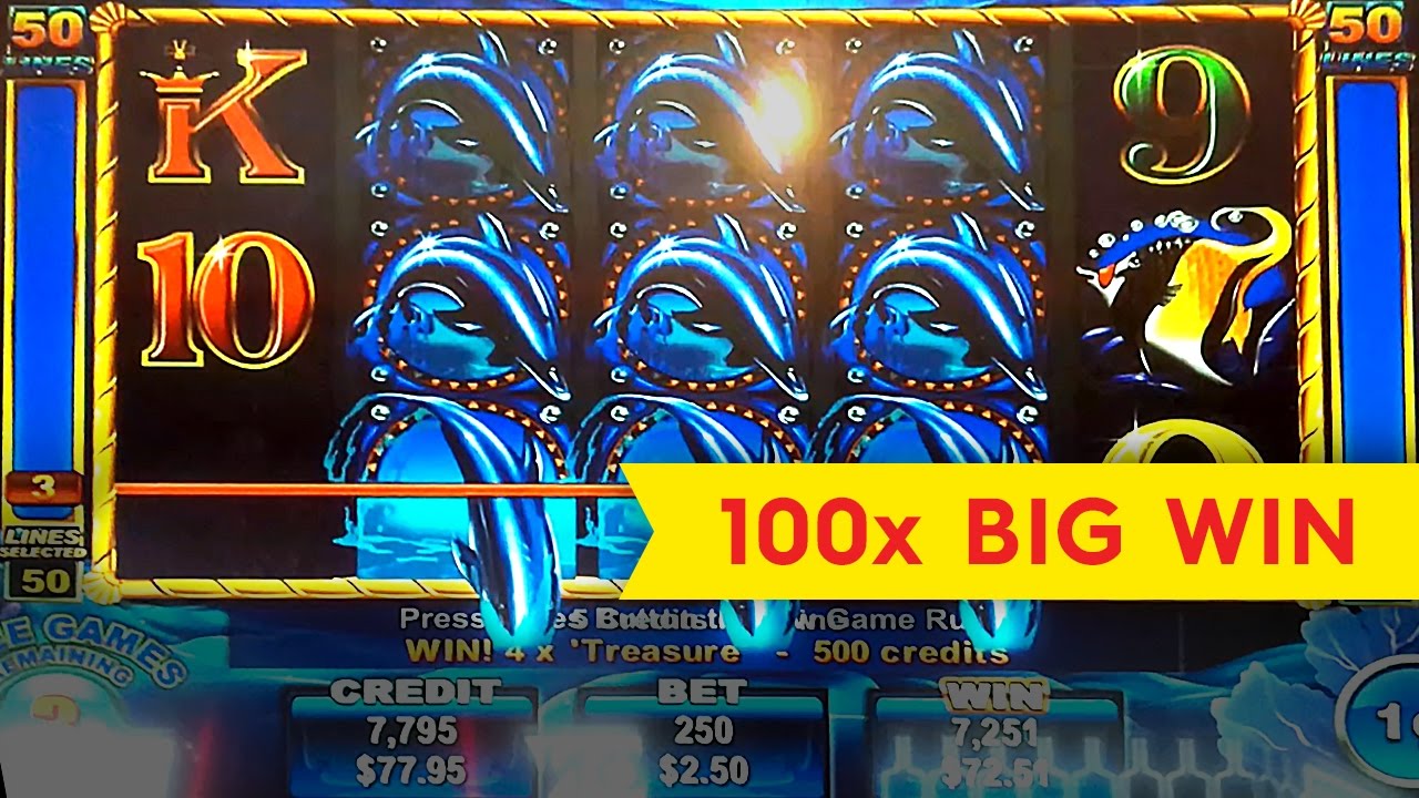 50 Dolphins Slot - BIG WIN BONUS!