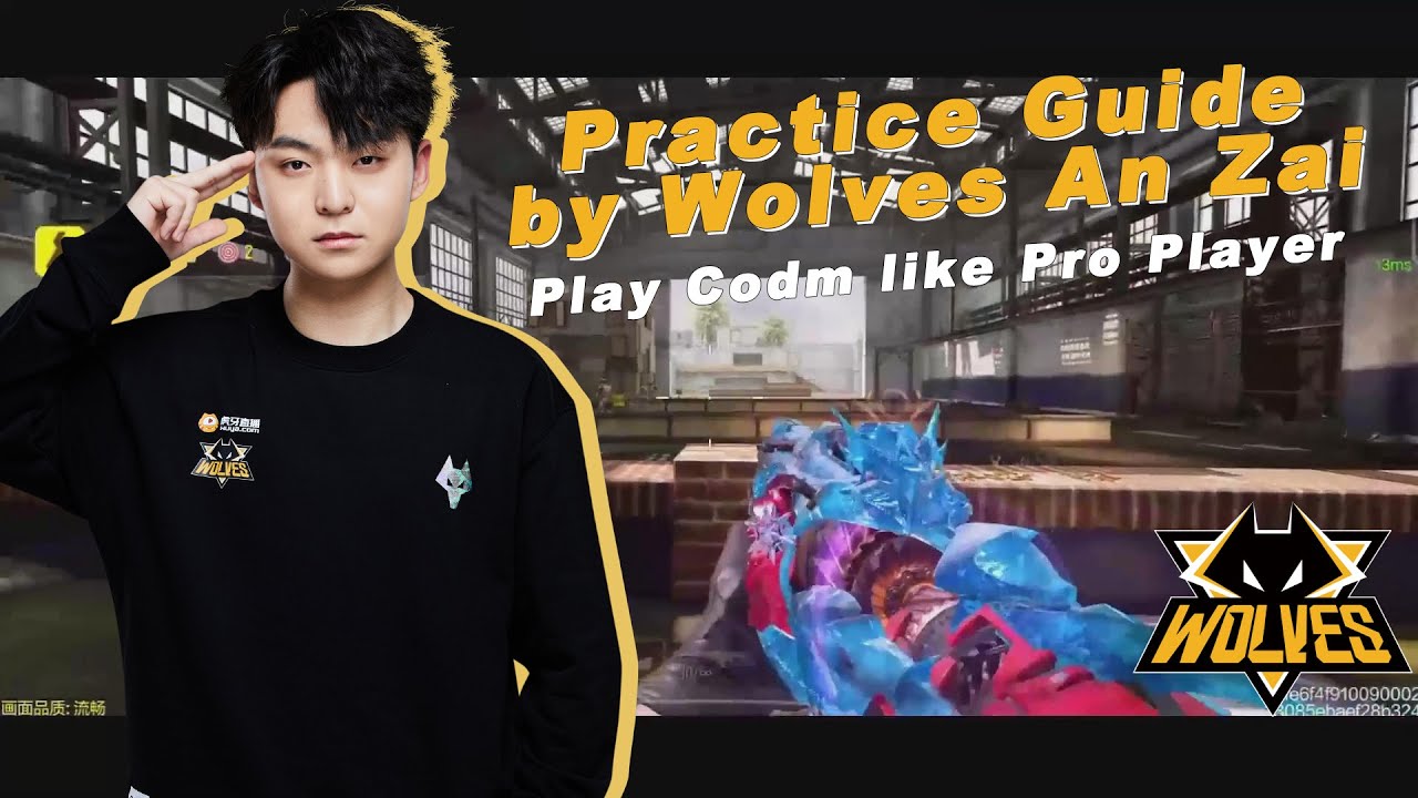 Pro Tips! Training Mode Exercise with Wolves An Zai