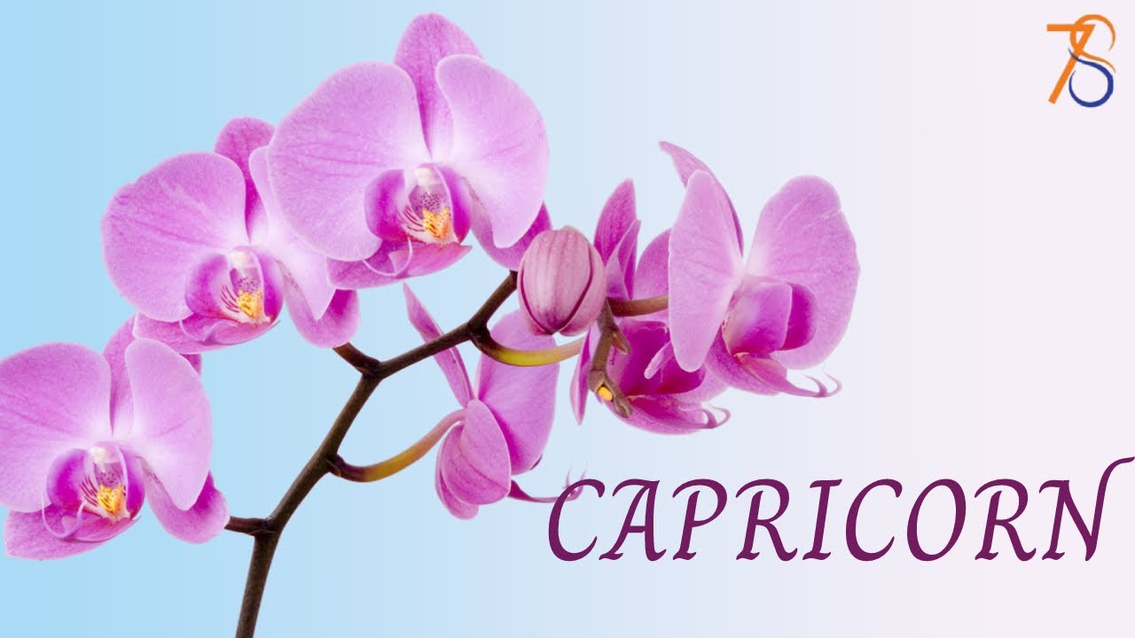 CAPRICORN 💕 Love Tarot August 5, 2024 Today Card Reading 🧡 Daily Prediction 🧡 Single, Couple