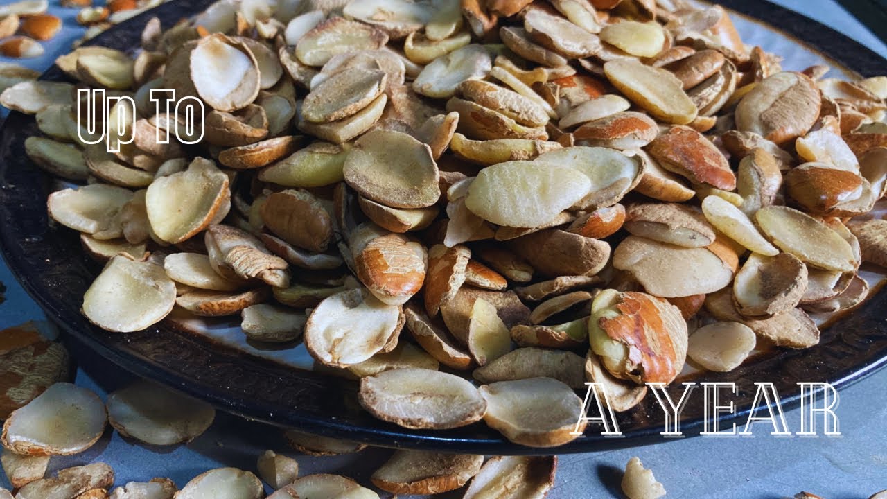 How to store |Preserve Ogbono for a long time |busy mum way