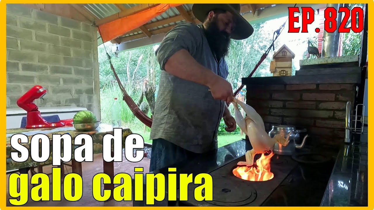 limpei um galo caipira pra ju fazer uma sopa