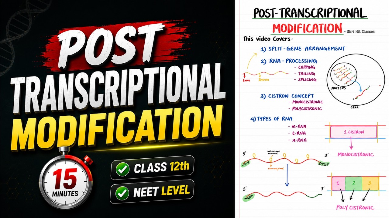 Post Transcriptional Modification | RNA Processing | Class 12 NEET 2027