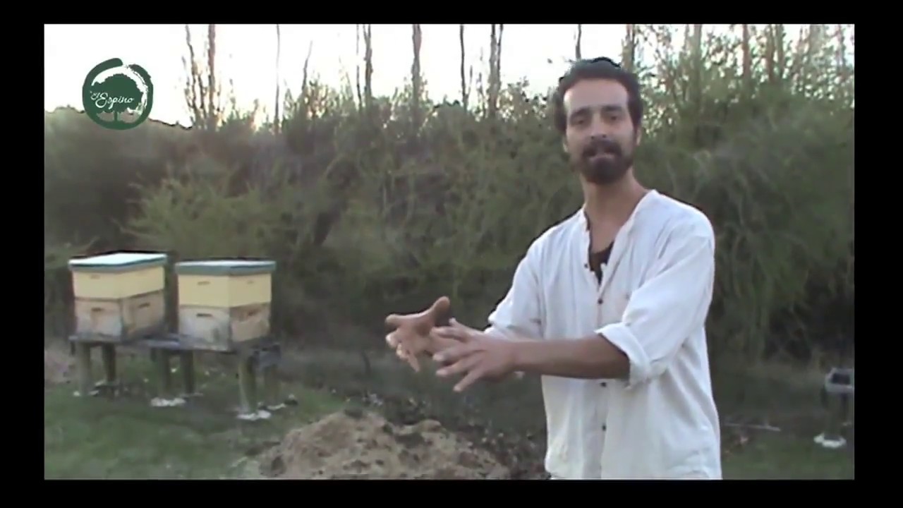 Instalación de Apiario Parte 1