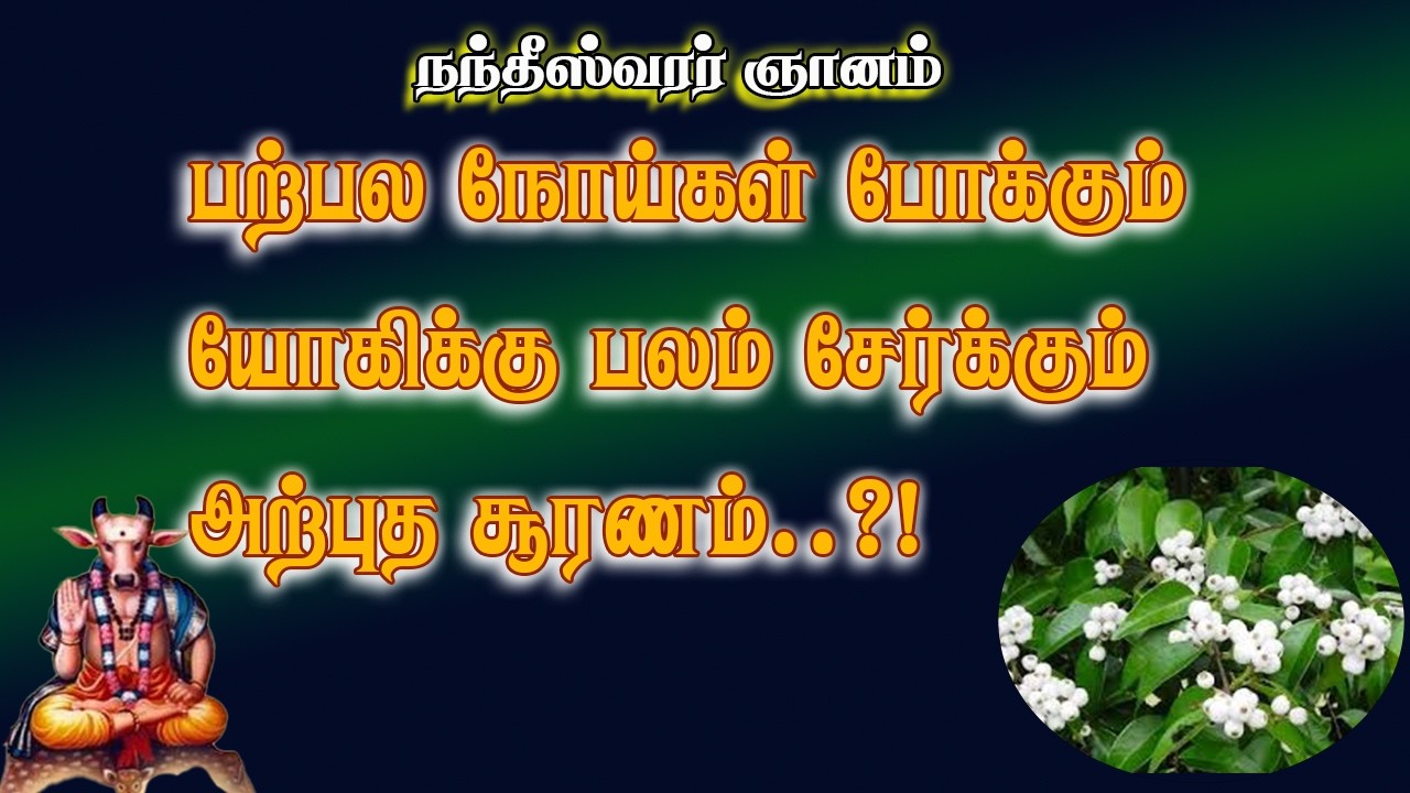நந்தீசர்.15 வயிற்று உளைச்சல் மூலம் தீர மூலிகை