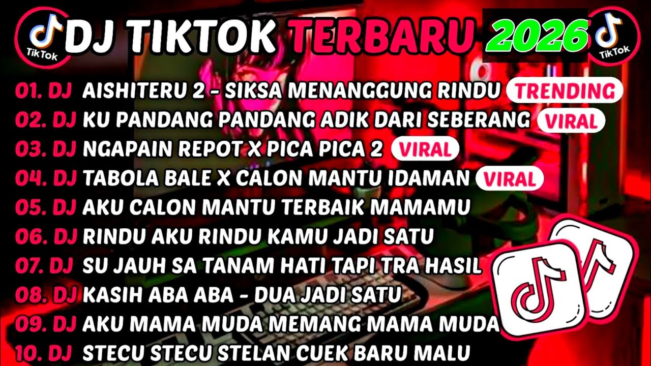 DJ TIKTOK TERBARU 2025 DJ STECU STECU STELAN CUEK BARU MALU