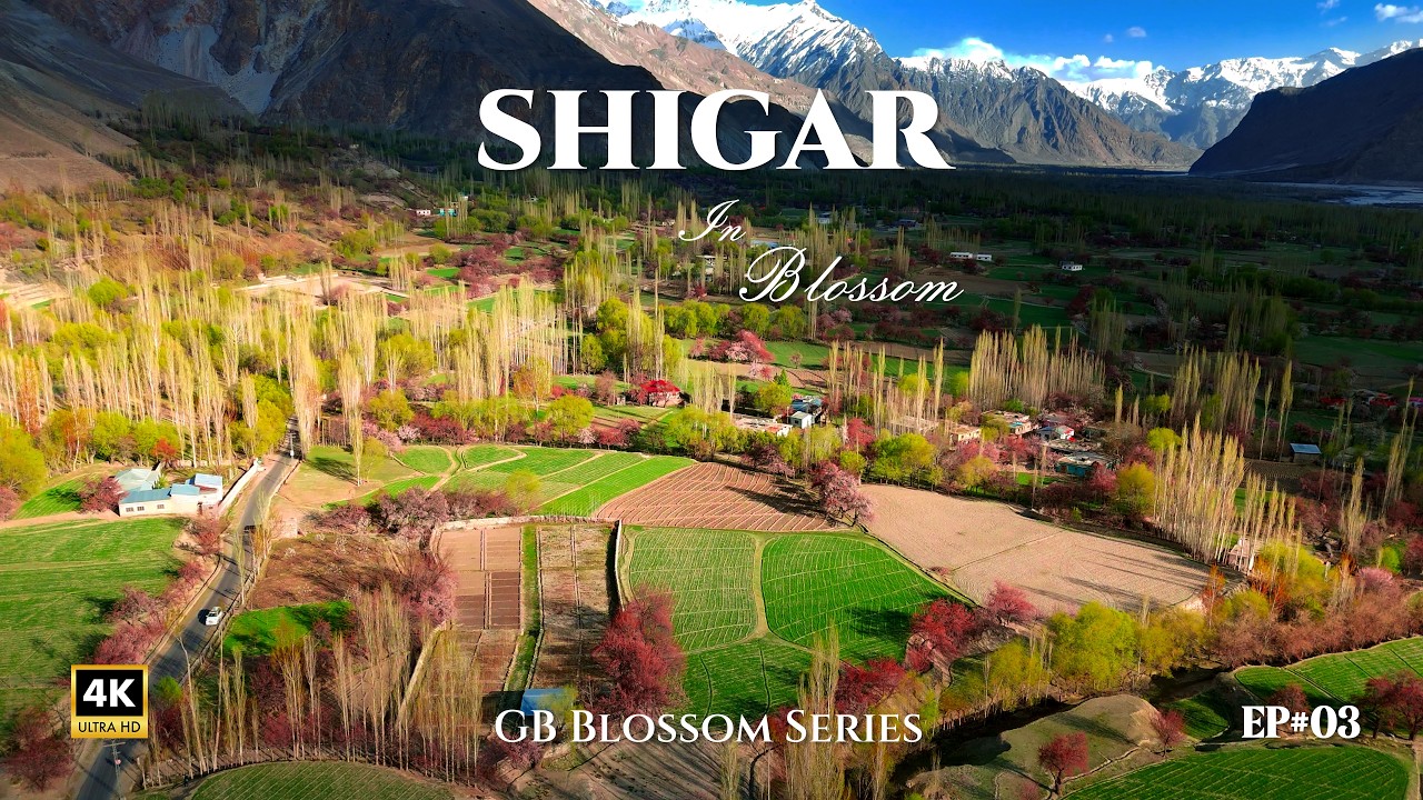 Skardu to Shigar Valley Travel Vlog | Spring Blossom, Sarfaranga Desert & Shigar Fort