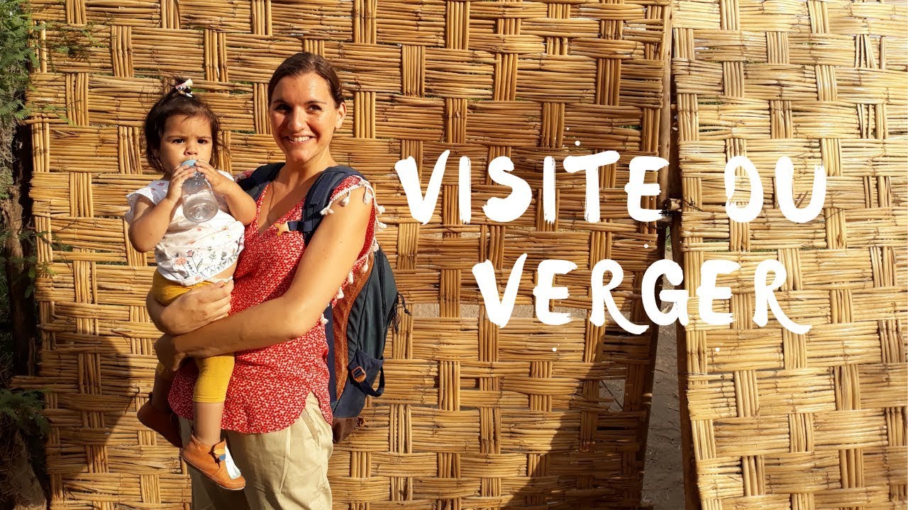 Visite du verger : avocats, mangues, citrons, Bienvenue au paradis du fruit !