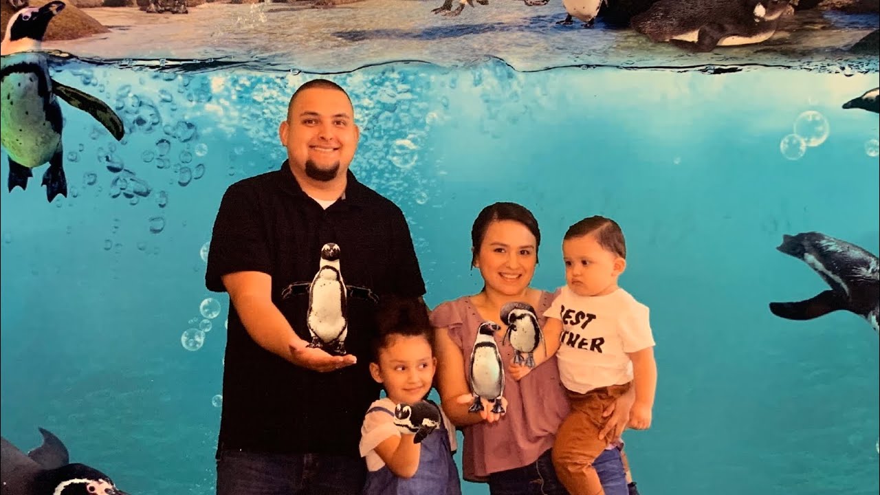 Visiting the Odysea Aquarium in Scottsdale, Az!