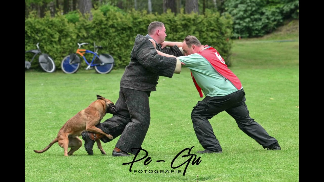 Mex Keuring 07-05-2023 KNPV PH1 Working dog