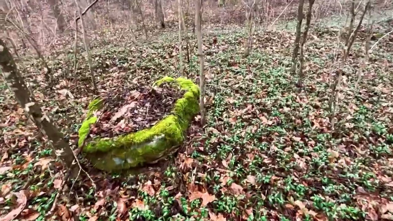 We found Jim Vance's grave site! - Hatfield McCoy feud