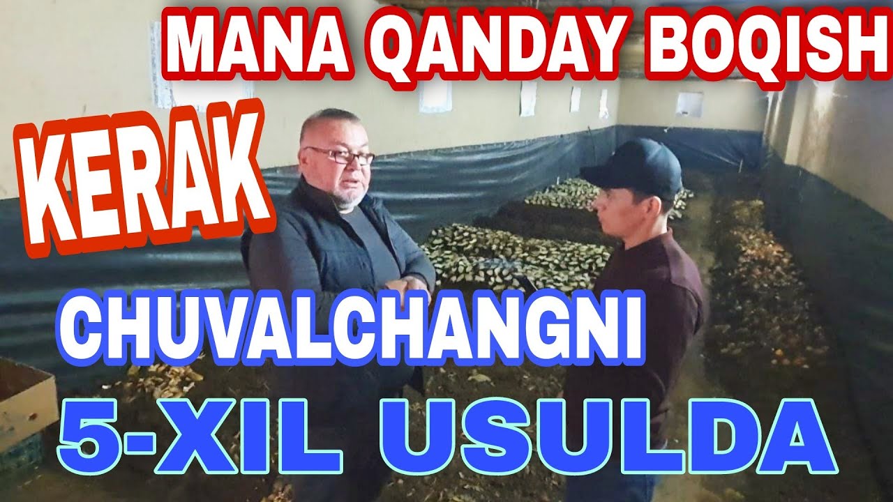 Chuvalchang boqishning 5 xil usuli 