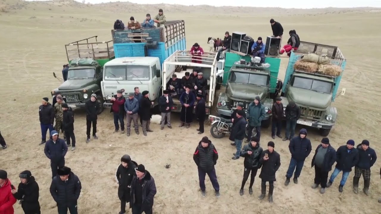 12.11.22ж көкпар