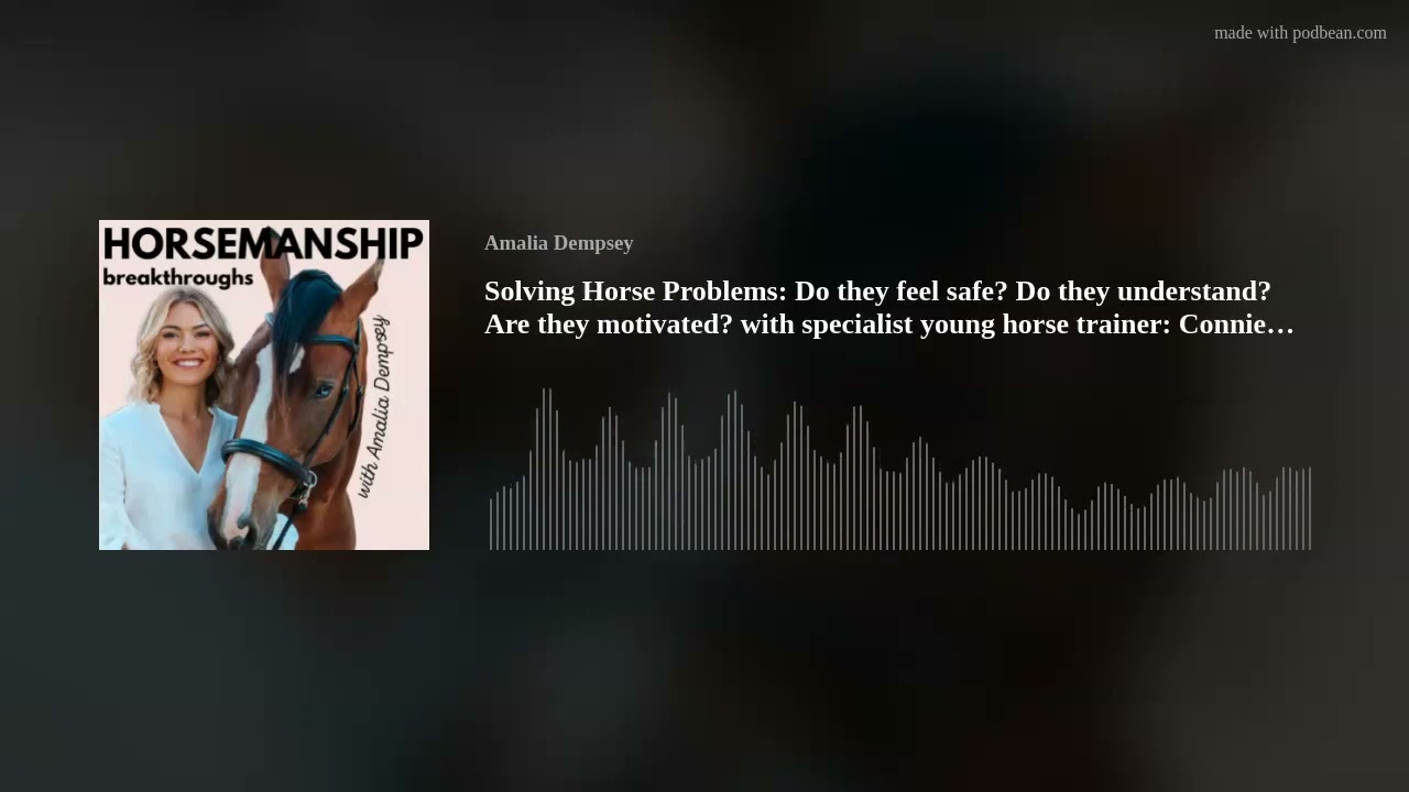 Solving Horse Problems: Do they feel safe? Do they understand? Are they motivated? with specialist y