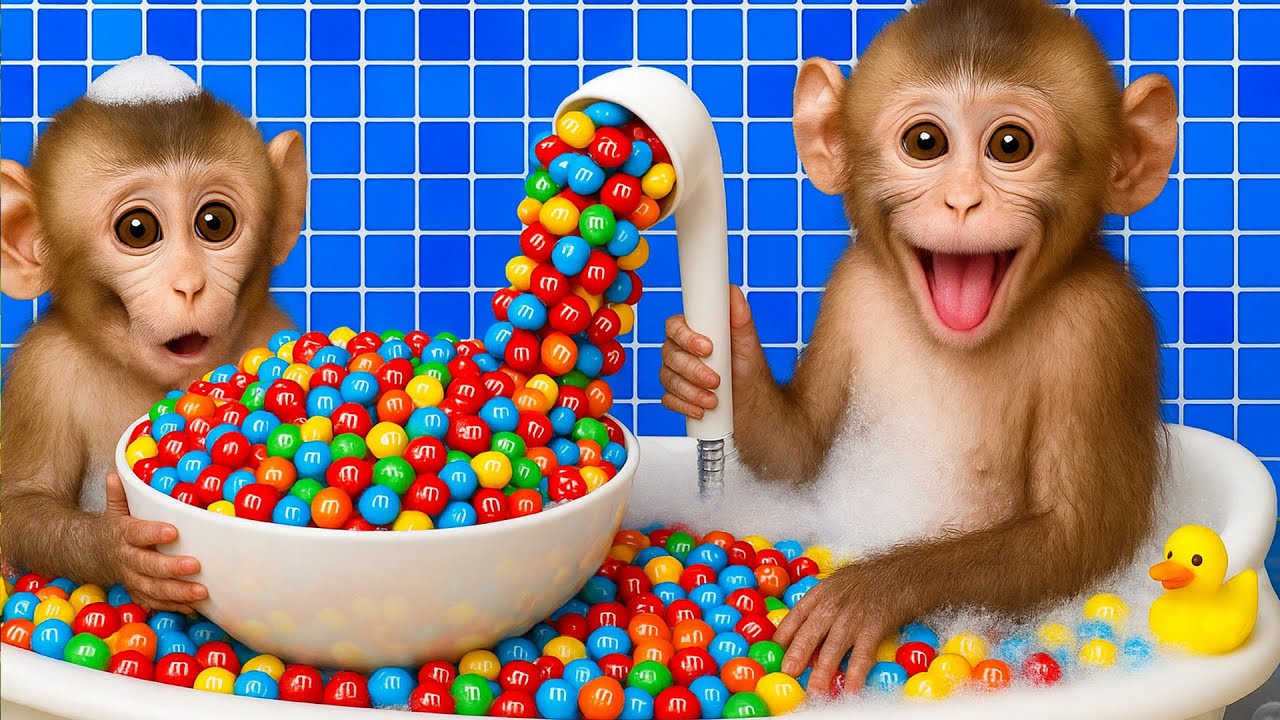 Mono CoCo Tierno Se Ba&ntilde;a Con Su Hermanito En Una Tina Gigante De Caramelos M&M 🐒❤️| MONO COCO ESP